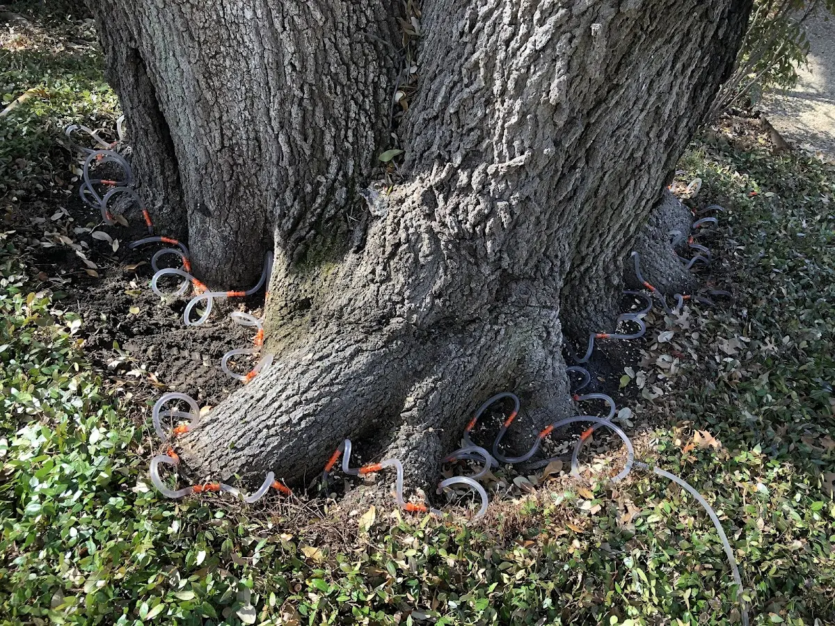 Detailed Shrub and Hedge Trimming job site in Mahaska