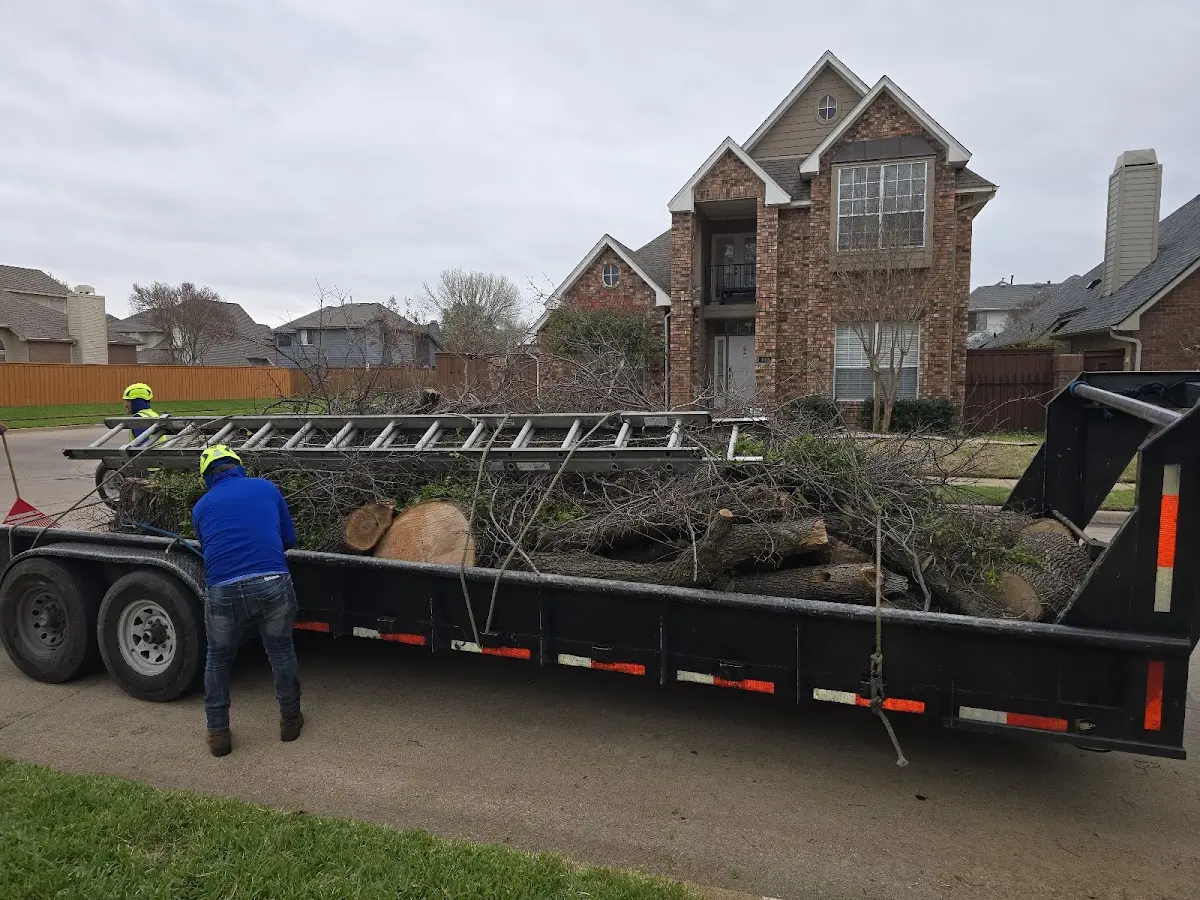 Expert Tree Fertilization with proper safety equipment in Mahaska